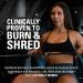 EHPlabs OxyShred Thermogenic Pre Workout Powder & Shredding Supplement - Preworkout for Men & Women Sugar Free Energy Powder with 150mg of Caffeine - Juicy Watermelon 60 Servings - Buy Online on SooperMarket.com