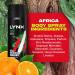 Lynx Africa Men's Fragrance Aluminium Free Masculine Body Spray Deodorant Fresh And Long Lasting Odour Protection 10 Pack of 200m. 1 count (Pack of 10) - Buy Online on SooperMarket.com