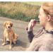 Werpower Acme Dog Whistle (3 Pack) - Model 210.5 - Day Glow Pink for Dogs - International Shipping Available - Buy Online on SooperMarket.com