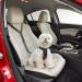 Comfortable Dog Seat Belt Harness for Car - 2-in-1 Leash & Restraint | Strong, Durable, & Reflective | Adjustable Bungee & 360 Swivel Attachment | Easy-to-Use Black Design - Buy Online on SooperMarket.com