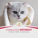 Furminator Waterless Foaming Shampoo & Deshedding Comb for Cats | Reduce Hair Loss & Odor - International Shipping - Buy Online on SooperMarket.com