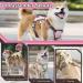 Multi-Purpose Dog Harness & Leash Set - Outbreak-Proof Anti-Train Safety Harness for Small & Medium Dogs (Pink M) - Buy Online on SooperMarket.com