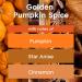 Glade Automatic Spray Refill - Golden Pumpkin & Spice Air Freshener for Home & Bathroom Limited Edition 6.2 Oz - Freshen Your Space - Buy Online on SooperMarket.com