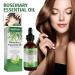 Organic Rosemary Oil for Hair Growth | Scalp & Hair Powering Aroma Therapy | Bexdug Pink Marine Oil with Glass Dripper - Improves Split Ends & Dry Scalp - Buy Online on SooperMarket.com