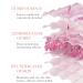 Rose Day Face Cream - Natural Rose Oil & Hyaluronic Acid Moisturizer for Dry Skin | Revitalizing & Firming - Buy Online on SooperMarket.com