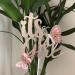 Double Sided Rose Gold 'It's A Girl' with Butterfly Cake Topper - Pink Baby Shower Decor - Buy Online on SooperMarket.com