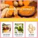 Turmeric Scrub Dark Spot Fading Turmeric Exfoliating Body Scrub Facial Peeling Brightening Exfoliating Scrubs Facial Scrub Exfoliator Natural Deep Cleansing Body Scrub Exfoliator Body Skin Care - Buy Online on SooperMarket.com