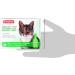 Beaphar Tick and Flea Protection Spot for Cats - Margosa Extract 3 x 0.8 ml & Flea Protection Collar - Effective Tick Protection for Cats - Buy Online on SooperMarket.com