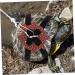 FOMIYES Turtle Leash Turtle Toys for Aquatic Turtles Turtle Harness Strap Small Pets Training Animals Harness Strap Live Turtle Tortoise Chest Collar Rope Leather Accessories Outdoor 120X0.8X0.2cm Black - Buy Online on SooperMarket.com