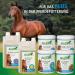 Boots Arthro Plus for Horses - Natural Joint & Tendon Support with New Zealand Green Lip Powder Vitamins & Devil's Claw - 1kg - Best Quality - Buy Online on SooperMarket.com