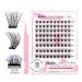 BEPHOLAN Self-Adhesive Lash Clusters Kit - 100pcs D Curl Eyelashes (10-16MM) with Tweezers - No Glue Needed for Easy Application - Buy Online on SooperMarket.com