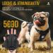 Oneigris Dog Harness & Leash Set | Mini Trooper Puppy Dishes for Extra Small to Medium Dogs - Black XS - Buy Online on SooperMarket.com