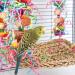 Red Parrot Swing Chewing Toy for Conures, Cockatiels, African Greys, Cockatoos, and Amazon Parrots - Buy Online on SooperMarket.com