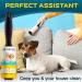 Large Pet Hair Lint Rollers - Sticky Remover for Furniture, Clothes, and Carpet - Dog, Cat, and Animal Hair - White (Pack of 5) - Buy Online on SooperMarket.com
