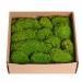1.5sq. Ft Preserved Moss Pole Moss Pillow Moss Colored Decorative Moss for Moss Crafts, Art DIY, Wall Decor (Yellow Green)