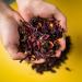 Ole Rico Dried Hibiscus Flowers 4 oz - Perfect for Hibiscus Tea - 100% Natural, Cut and Sifted - Resealable Bag - 4 Ounce Pack - Buy Online on SooperMarket.com