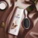 Dove Shampoo Oil Care - Nourishing Solution for Dry Brittle Hair | Bio-Restore Complex | 250ml (6 Pieces) - International Shipping Available - Buy Online on SooperMarket.com