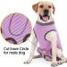 Heywean Dog Recovery Suit XXL - Post-Op Castration Wound Protection & Medical Shirt | Pink Dog Surgery Bodysuit for Pet Comfort - Buy Online on SooperMarket.com