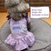 KYEESE 2Pack Dog Dresses Princess Bowtie Sundress for Small/Medium Dogs - Purple+Pink - Buy Online on SooperMarket.com