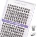 Cluster Lashes 144 Pcs Individual Lashes Eyelash Extensions at Home 10/12/14/15/16mm C/CC/D Curl Thin Band Reusable Lash Extensions Natural Soft & Comfortable- OP20 144 clusters - OP20