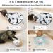 GoldenSun Rechargeable 4in1 Interactive Cat Toy - Hide and Seek Kitten Wand, Whack a Mole, Motion Self Play - Electronic Automatic Cat Toy for Indoor Cats - Exercise and Entertainment - Black Meow - Buy Online on SooperMarket.com