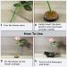 Japanese Ikebana Kit - Ceramic Vase & Frog Holder Set for Floral Arrangements - Buy Online on SooperMarket.com