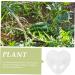 OSALADI Plant Plastic Fruit Clear Fruit Yard Fruit Fruit Forming Heart-Shaped Pumpkin - Buy Online on SooperMarket.com
