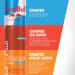 Red Bull Energy Drink Sugar Free 250 ml (4 pack) 250ml (Pack of 4) - Buy Online on SooperMarket.com