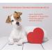 Canimove Doppelpack (200 Capsules) - Veterinary-Approved Support for Heart Function in Large Dog Breeds - Buy Online on SooperMarket.com