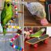 Kathson Parrot Nest Breeding Box with Perches - Small Size | Natural Coconut Fiber Birdhouse for Parakeet Cockatoo Budgie - Pet Cage Accessories - Buy Online on SooperMarket.com