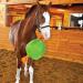Signature Horsemen's Pride 14-Inch Horse Jolly Tug Blue one size - Buy Online on SooperMarket.com