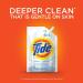 Tide Free & Gentle Liquid Laundry Detergent - 93 Loads, 45 fl oz (Pack of 3) - Buy Online on SooperMarket.com
