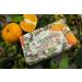 Nesti Dante Il Frutteto Olive & Tangerine Moisturizing Soap 250g/8.8oz - Buy Online on SooperMarket.com