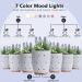 Artificial Succulent Plants Potted Essential Oil Diffuser with 7 Colors LED Light - Grey | Aromatherapy Ceramic Cool Mist Diffuser for Home and Office - Buy Online on SooperMarket.com