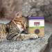 Kong Premium Quality Catnip 1oz Jar - High-Quality Organic Catnip for Cats - Buy Online on SooperMarket.com