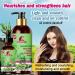 Rosemary Mint Hair Shampoo & Serum Set | All Hair Types | Nourishing Rosemary Oil for Men & Women - Buy Online on SooperMarket.com