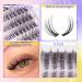 Lash Clusters Natural DIY Lash Extensions C Curl Cluster Eyelash Extensions Cat Eye Left+Right Cluster Lashes 216 Pcs Wispy Eyelash Clusters for Beginners - Buy Online on SooperMarket.com