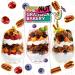 Blueberry Cherry Cinnamon Keto Granola Cereal Variety Pack | Low Carb Snack | 2-3g Net Carb | 11 oz (Pack of 3) - Buy Online on SooperMarket.com