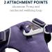 Luffwear Front Range Dog Harness - Reflective Padded Anti-Escape - Purple Sage - Large/X-Large - International Shipping Available - Buy Online on SooperMarket.com