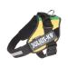 IDC Powerharness Size: XL/2 Lithuanian Colors Lithuanian Colors XL/2
