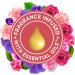 Glade PlugIns Rose & Bloom Air Freshener Refills - 5 Count Pack, 3.35 Fl Oz - Scented Essential Oils for Home & Bathroom - Buy Online on SooperMarket.com