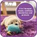 Pet Magic 5 Litre Pet Dog Carpet Cleaning Shampoo Solution | Tough on Stains and Odours | Suitable for all Machines | Fresh Linen Fragrance (1 Pack) - Buy Online on SooperMarket.com
