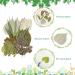 TimTin 84 Pieces Dried Leaves and Flowers Resin Craft Kit - Assorted Greenery for DIY Handmade Bookmarks - Vivid Style - Buy Online on SooperMarket.com