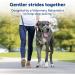 PetSafe Gentle Guide Collar Small Red with Training DVD | Best International Shipping - Buy Online on SooperMarket.com