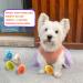 Dog Dress with Tulle for Small Dogs - Easter Day Puppy Sundress - Small (1 Pack) - Buy Online on SooperMarket.com