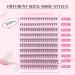 Parriparri 20D D Curl Cluster Lashes - 200 Pcs | Reusable Soft Russian Lashes Extension | DIY at Home | 0.07D-20D-Mix | 8-16MM Individual False Eyelashes - Buy Online on SooperMarket.com