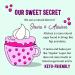 SWEET LOGIC Keto Dessert Mug Cake Mixes - Variety Pack | Refined Sugar Free, Gluten Free, Diabetic Friendly Keto Snacks - 4 Keto Mug Cake Mixes for Sweet and Healthy Treats - Buy Online on SooperMarket.com