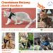 Supet Cat Dishes & Soft Vest Set for Cats & Small Dogs - Adjustable Leash Breakfast Collection Medium (33-38 cm) - Orange - Buy Online on SooperMarket.com