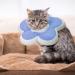 XINRUI 2 Pack Soft Cat Cone Collar Adjustable Soft Cone for Cats Recovery After Surgery Cute Protective Cat Recovery Collar for Kitten Puppies (Purple & Yellow) - Buy Online on SooperMarket.com