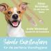 Buy Bamboo Toothbrush for Dogs & Cats - 2 Pack | 100% BPA-Free Dental Care for Clean Teeth & Environment - Buy Online on SooperMarket.com